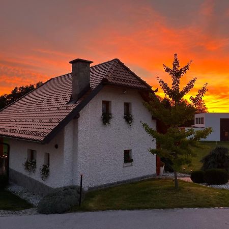 Holiday Home Dobrotin Vojnik 外观 照片