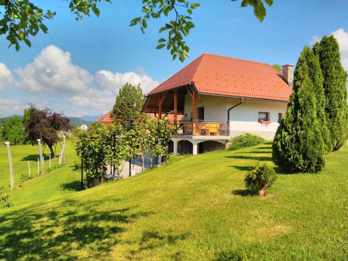 Holiday Home Dobrotin Vojnik 外观 照片