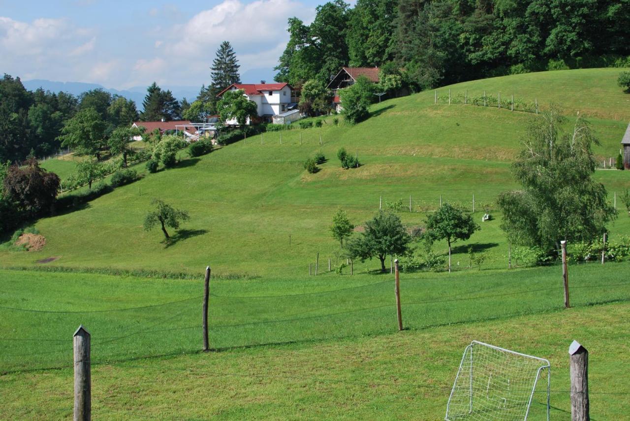 Holiday Home Dobrotin Vojnik 外观 照片
