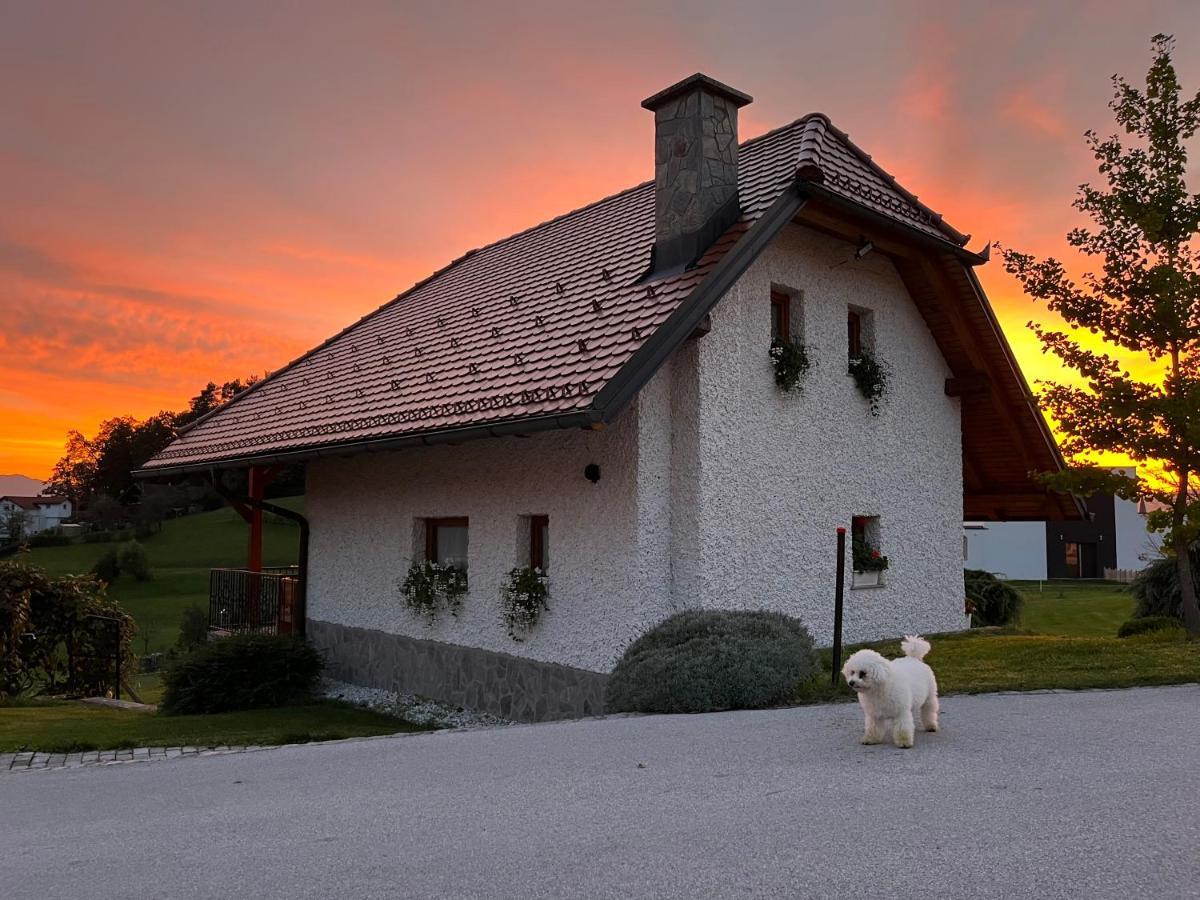Holiday Home Dobrotin Vojnik 外观 照片