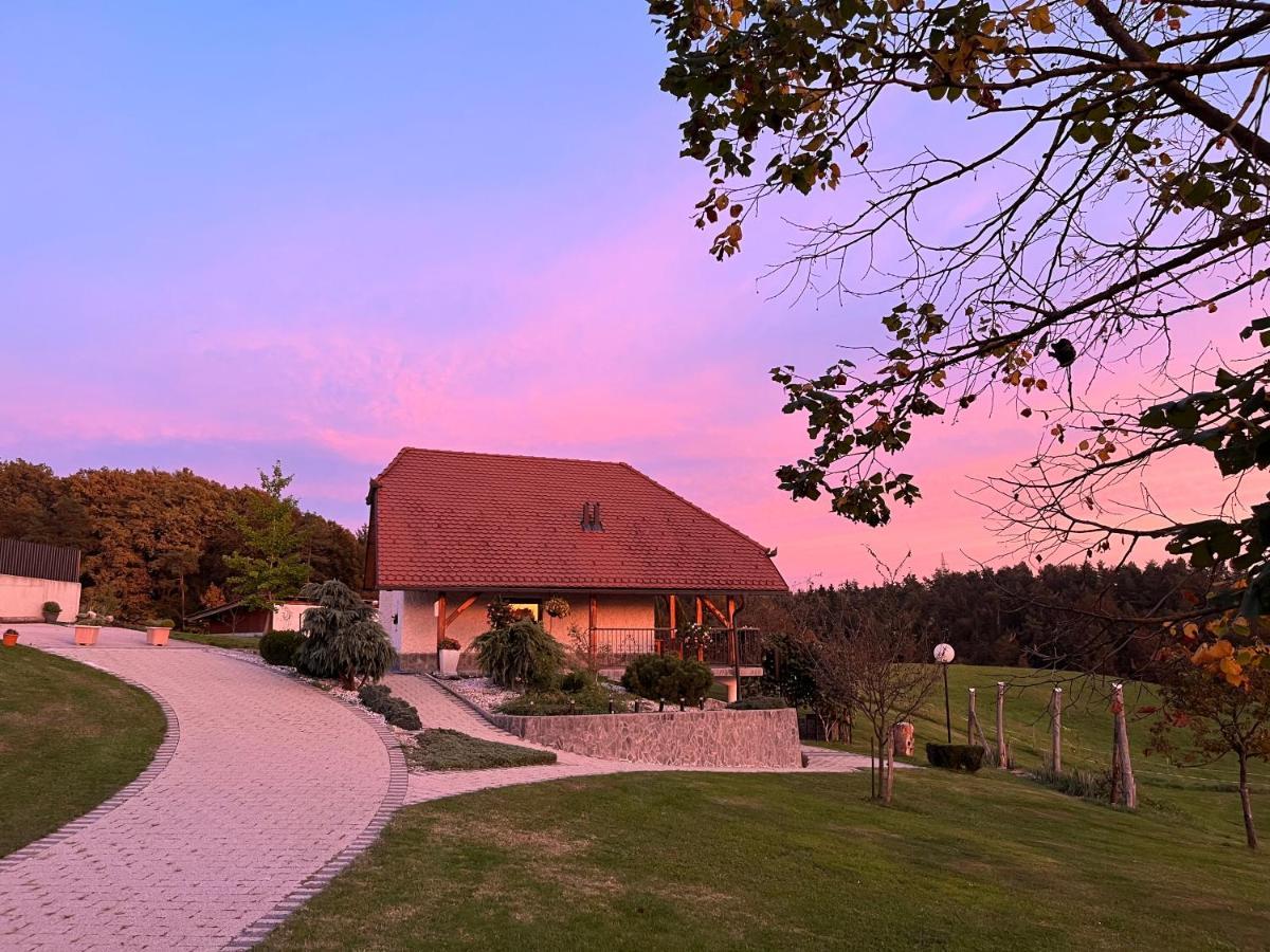 Holiday Home Dobrotin Vojnik 外观 照片