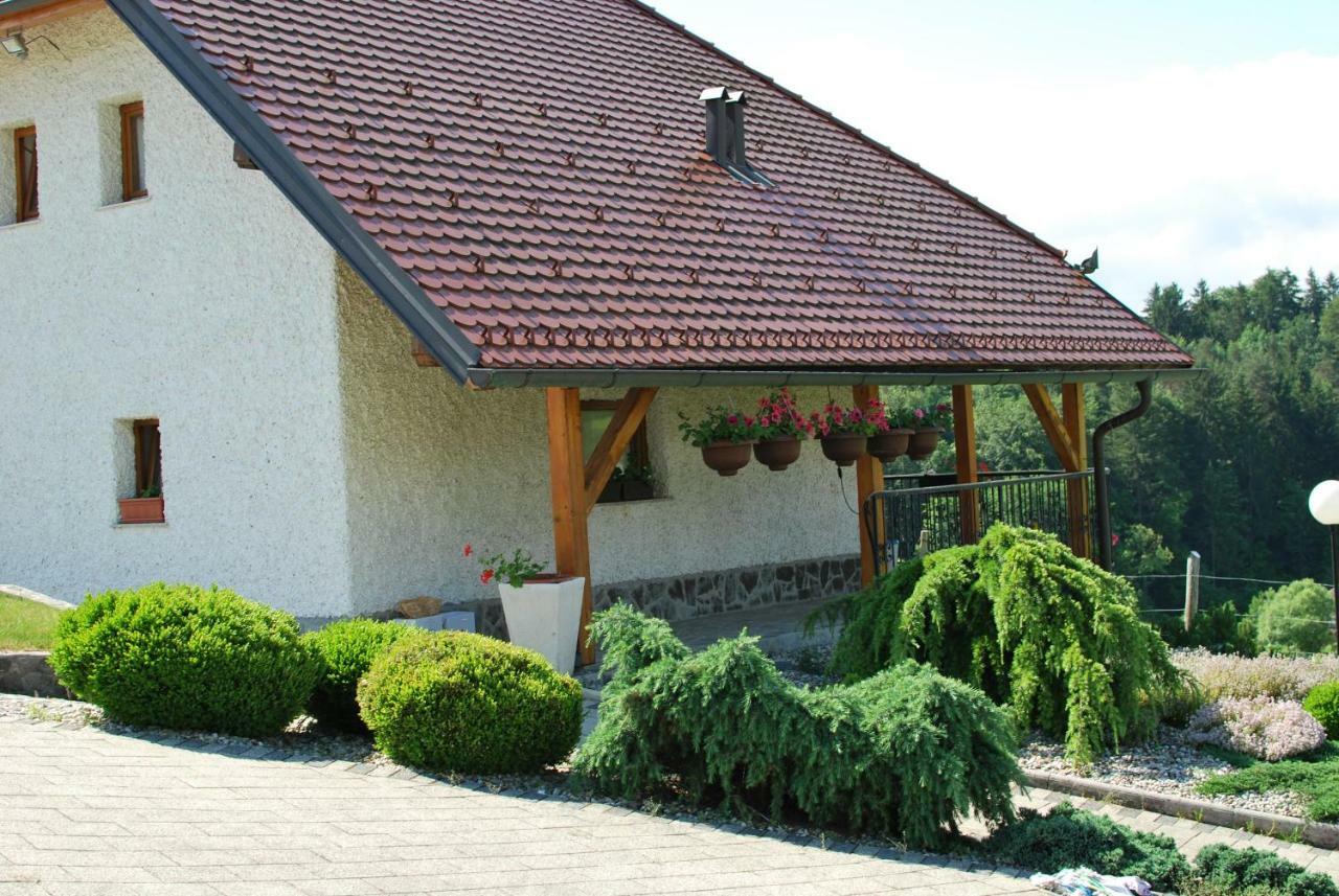 Holiday Home Dobrotin Vojnik 外观 照片