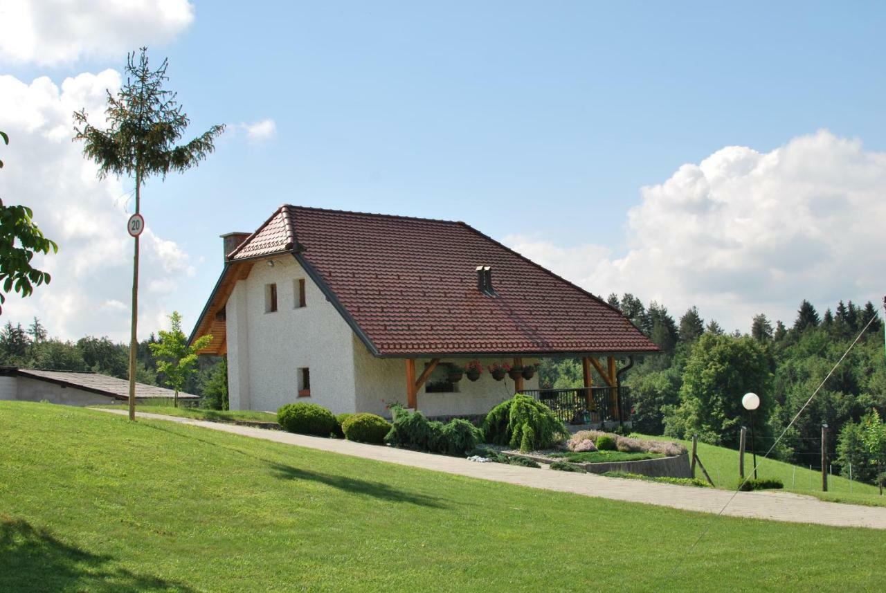 Holiday Home Dobrotin Vojnik 外观 照片